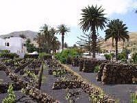 Haria, Lanzarote